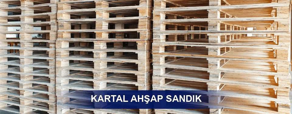 Kartal Ölçü Planı