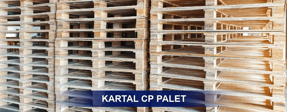 Kartal Standart Tipler