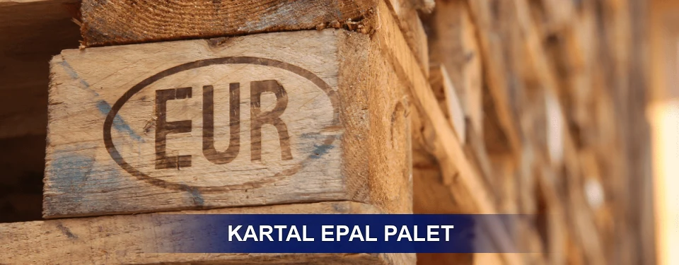 Kartal Standart Yapı