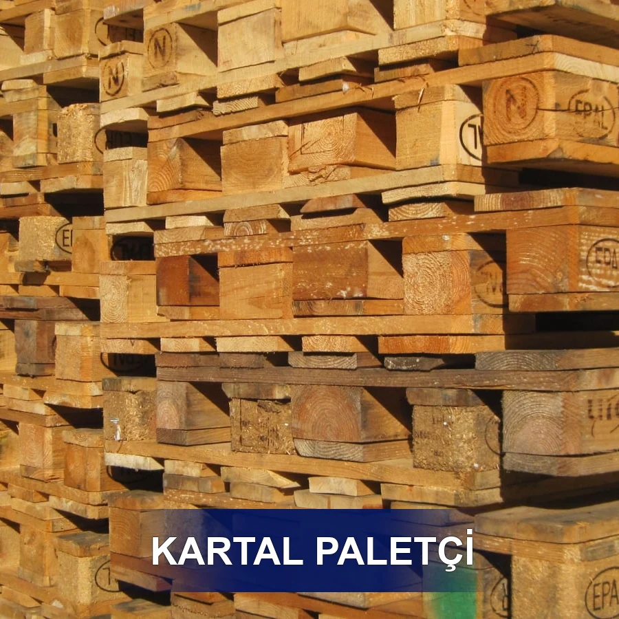 Kartal Paletçi