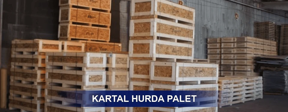 Kartal Sınıflandırma