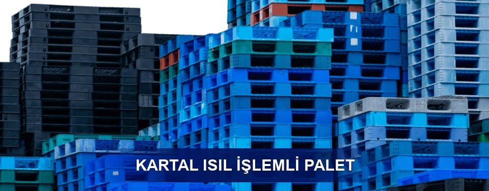 Kartal İşaretleme
