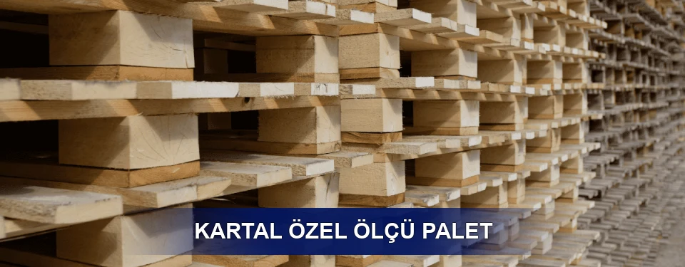 Kartal Yük Kapasitesi