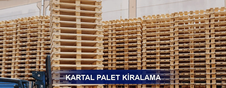 Kartal Uzun Dönem