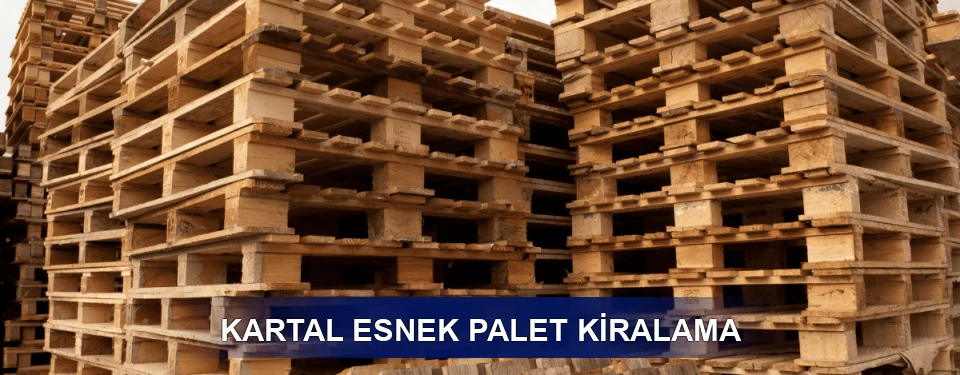 Kartal Fiyatlandırma